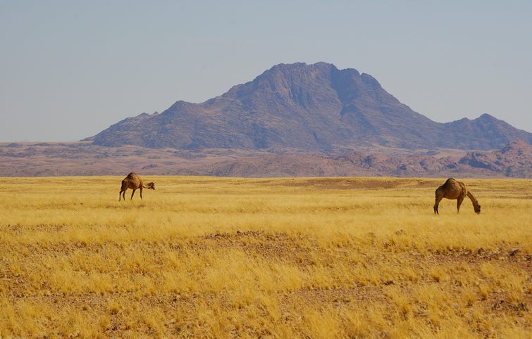 440 Namibia Okt 2006 .JPG